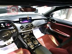 کیا ستینگەر